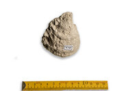 F 09769
<br/>
<br/>
<em></em>